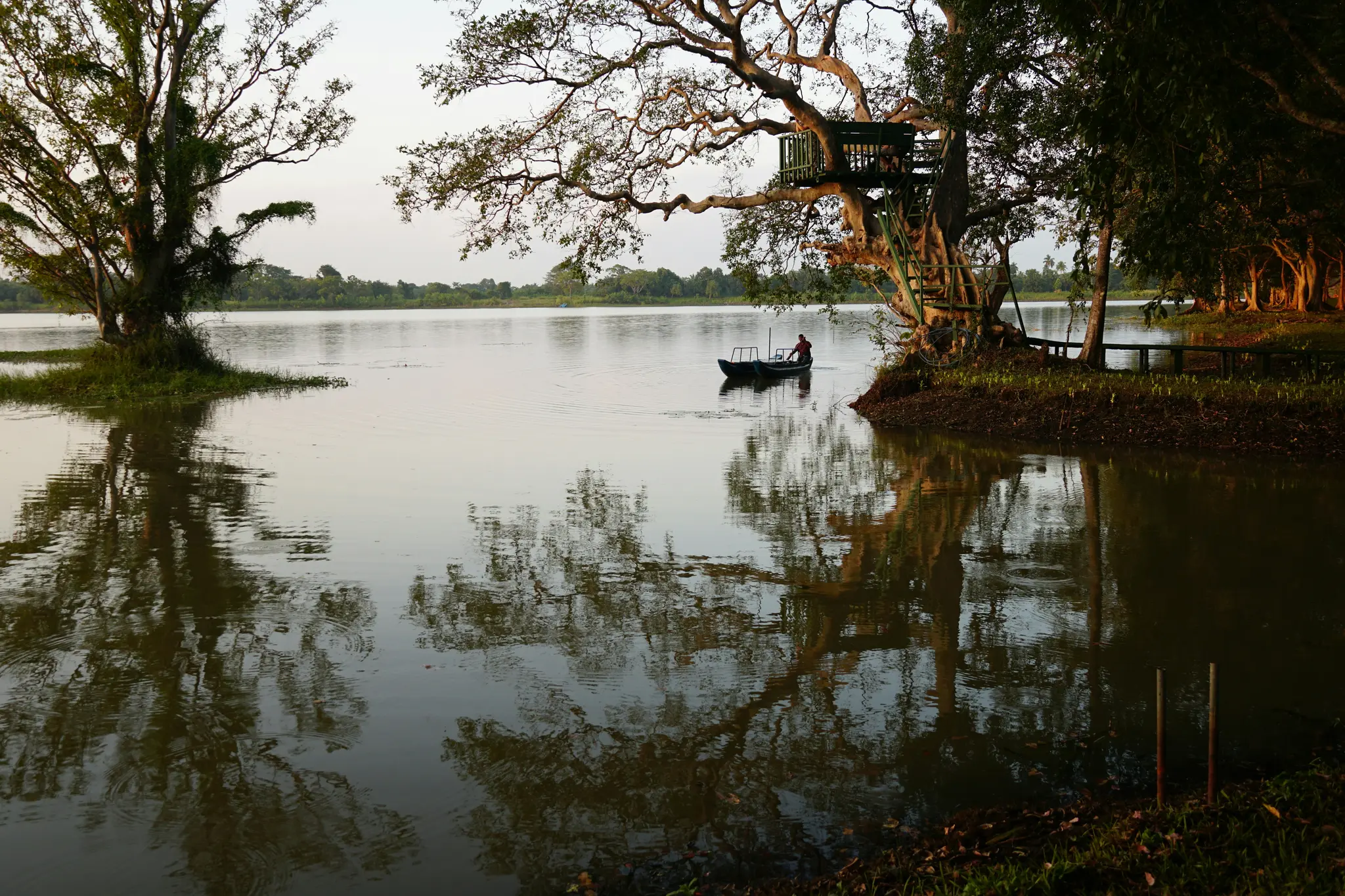Habarana