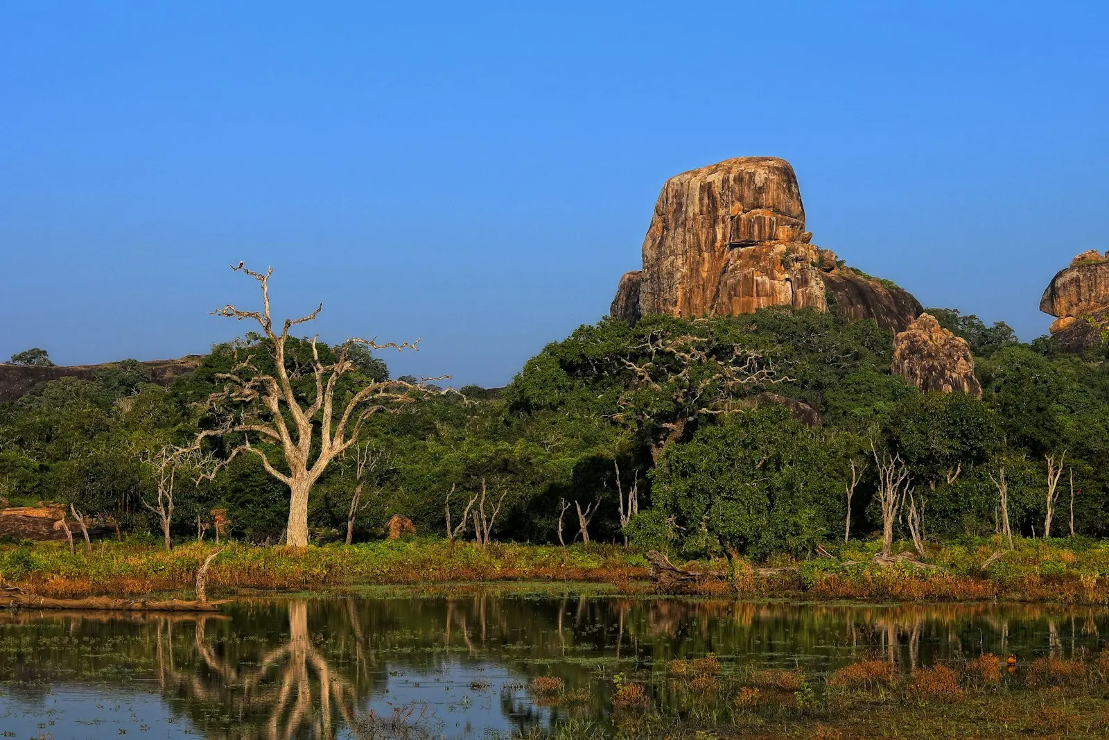 Yala National Park, Hambantota, Sri Lanka